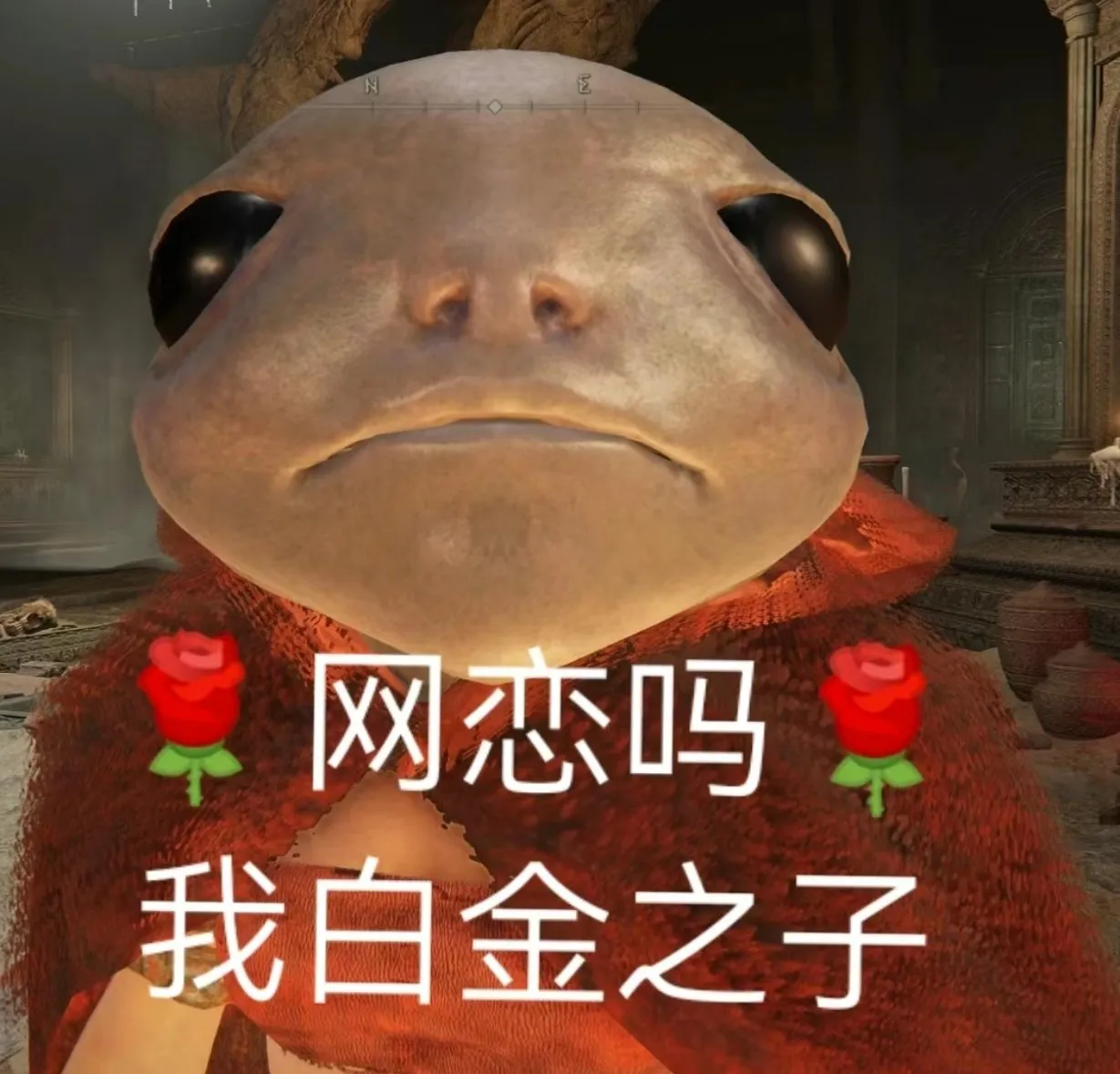 Steam大选美之谁是我老婆