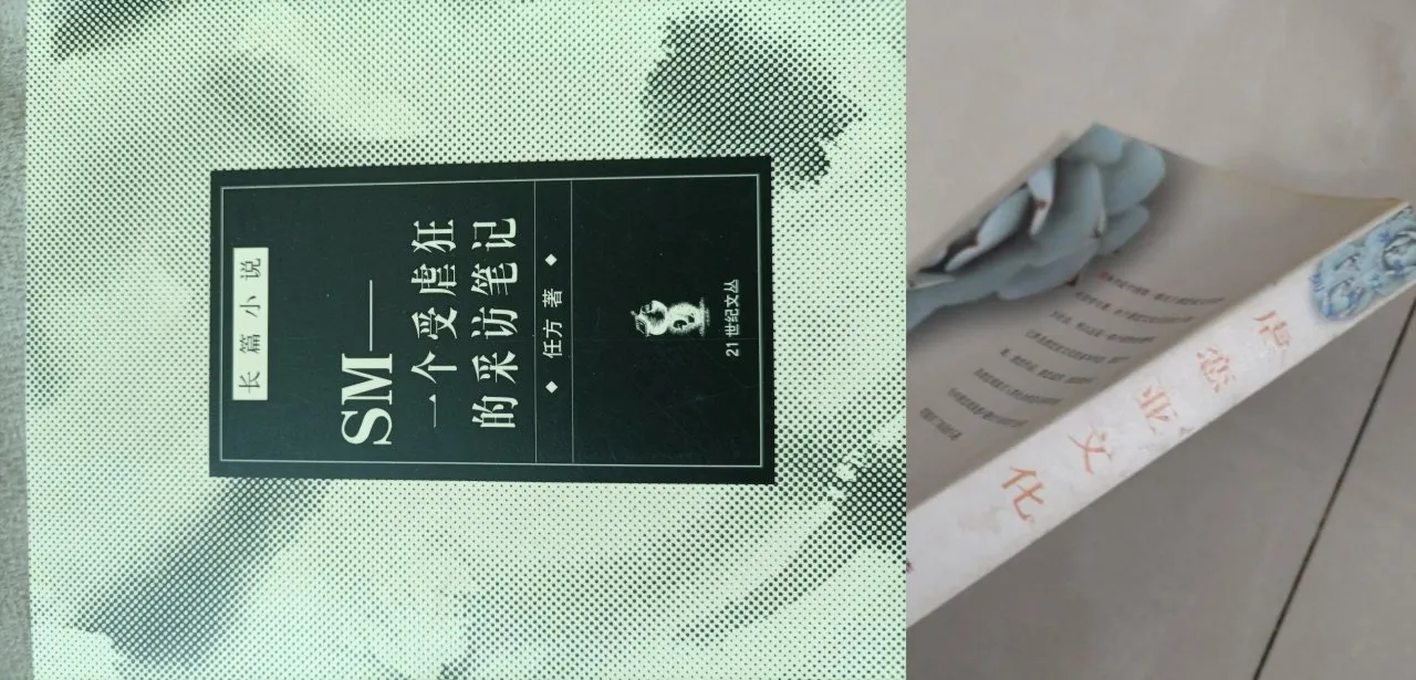 元旦又买了一些书