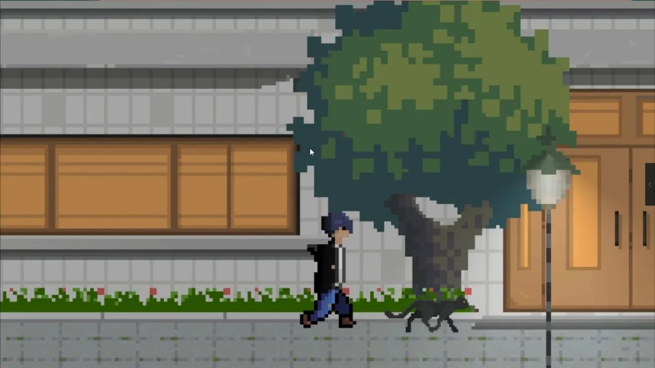 你在巷子里遇到过黑猫吗？它给你带来了好运OR噩运？