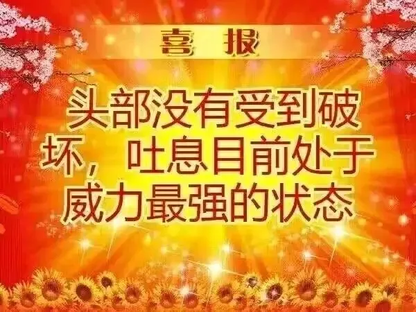 黑龙互助小贴士