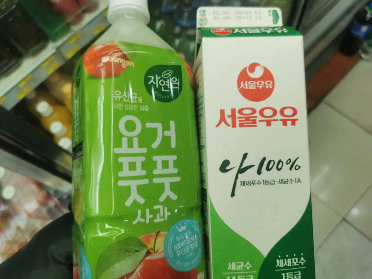春节过节之我在首尔喂猫