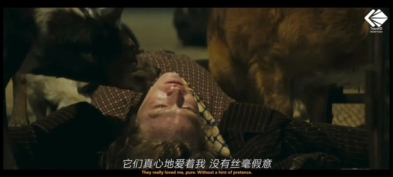 《狗神》
