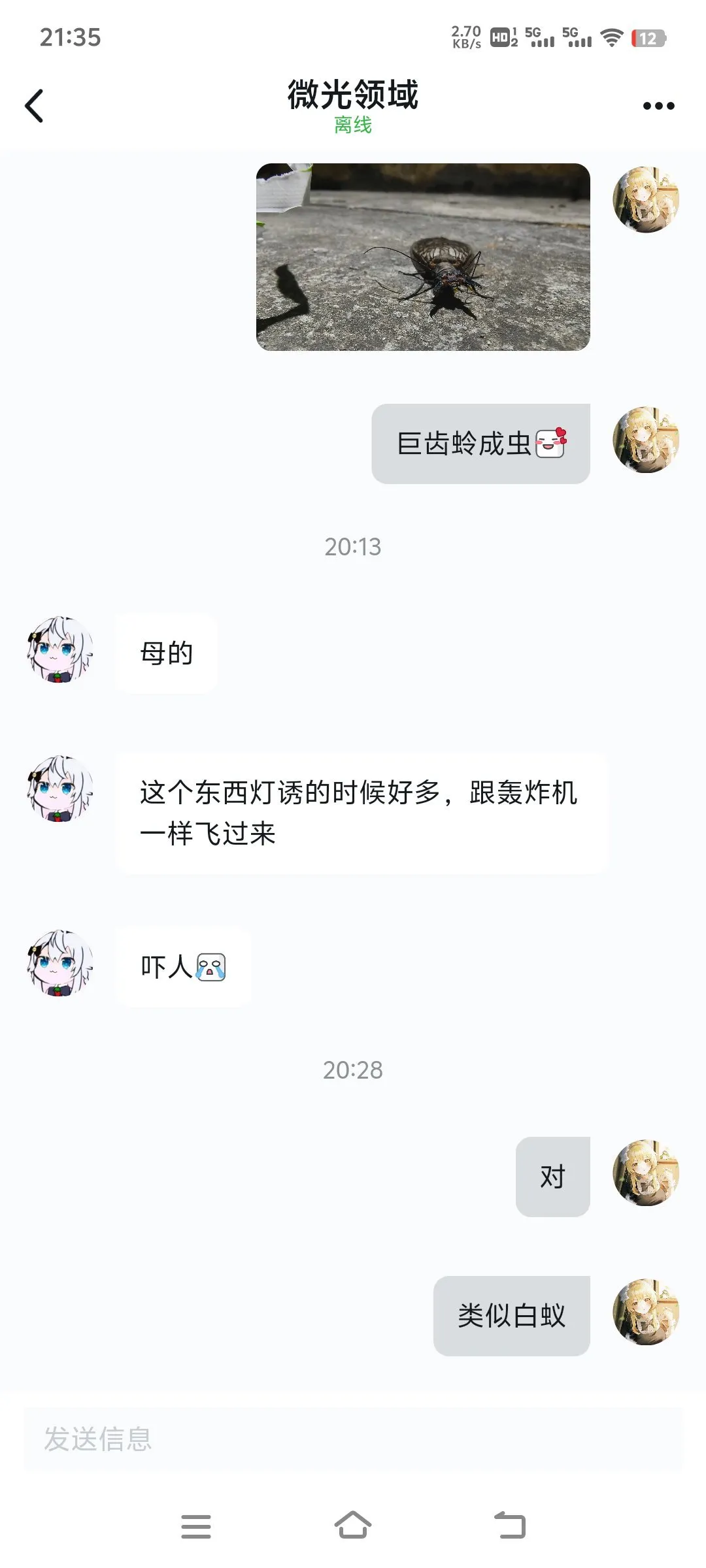 【兔子百科与厨房】之水质检测器巨齿蛉，可食用