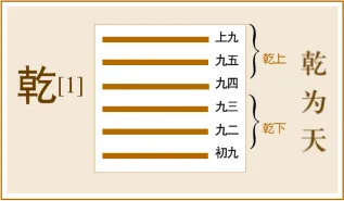 适合黑盒宝宝体质的周易-用黑猴讲乾卦