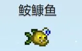 星露谷最难掉的十条鱼，哪条鱼最让你破防？