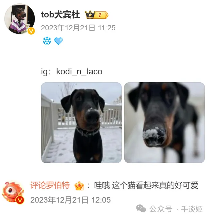 微博上比“来去之间”还要狂的狂人，名叫“评论罗伯特”