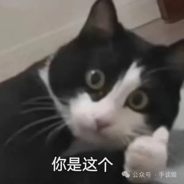 ……国产手游开始搞小人开大车了？