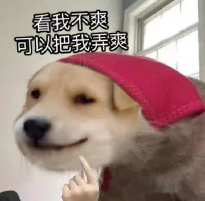 为什么有人愿意疯狂买单机游戏，也不愿意碰网络游戏？