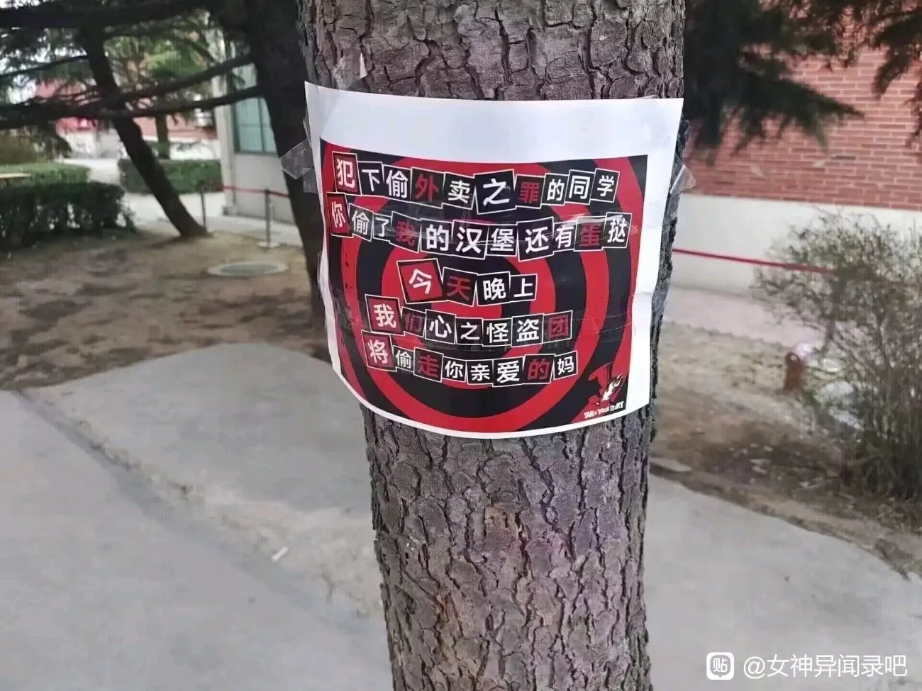 谁的天下第一？不要小瞧我们之间的羁绊呀欧拉！「女神异闻录5」
