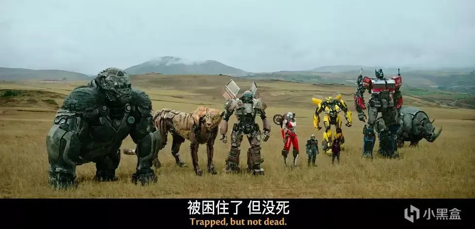 2023年年度电影大盘点与推荐（上半年）