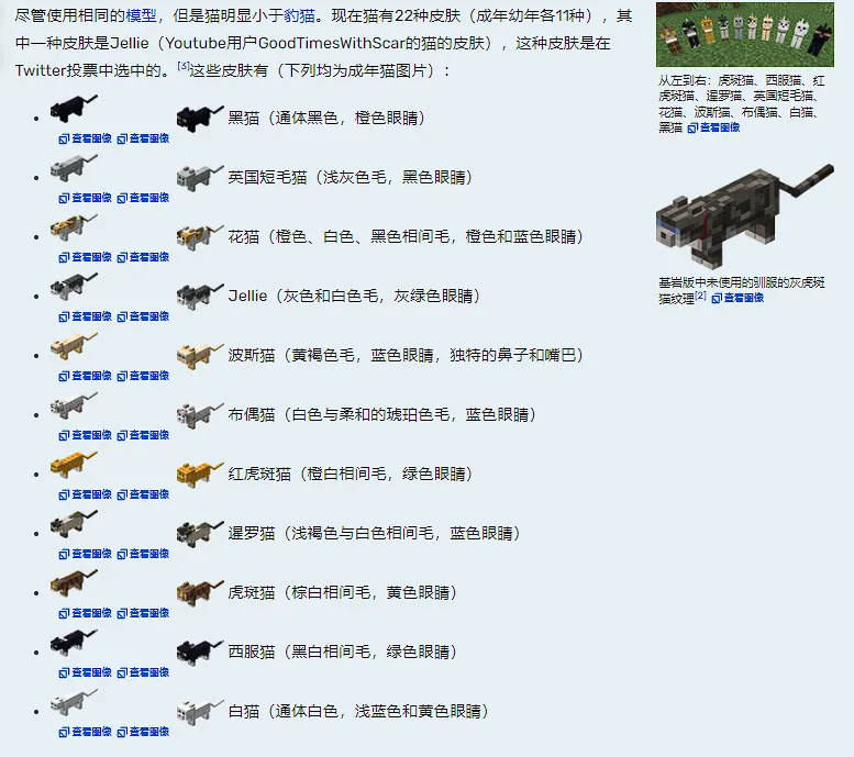 《我的世界》中Jellie猫的现实原型去世