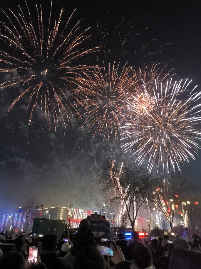 我的2023年度报告