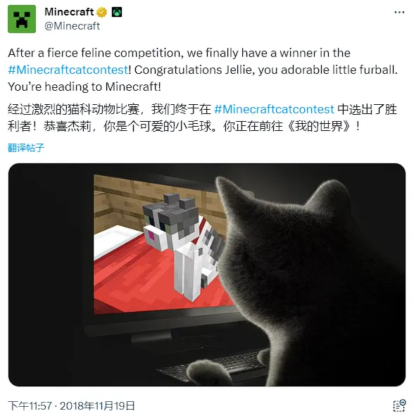 《我的世界》中Jellie猫的现实原型去世