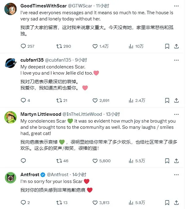 《我的世界》中Jellie猫的现实原型去世