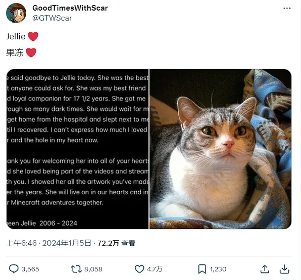 《我的世界》中Jellie猫的现实原型去世
