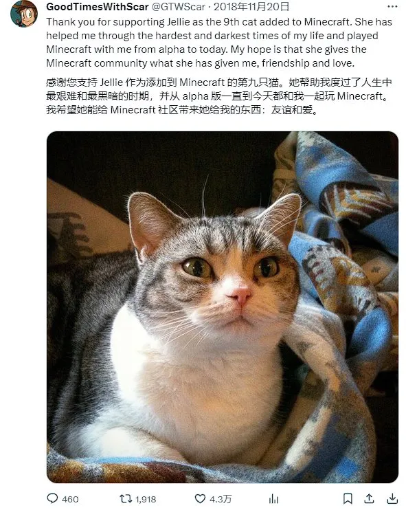 《我的世界》中Jellie猫的现实原型去世
