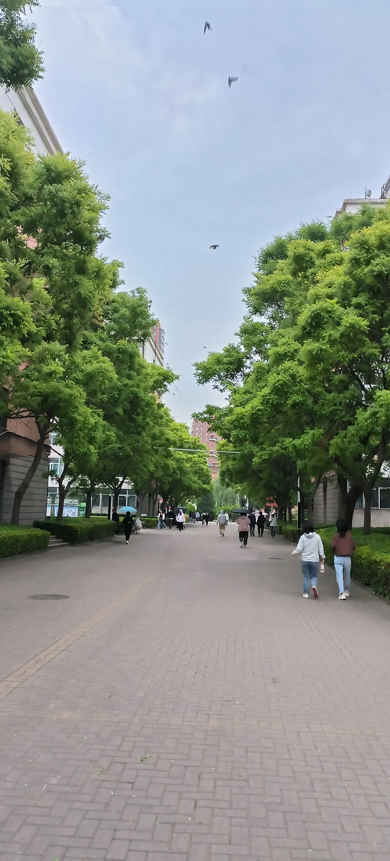 我的2023年度报告