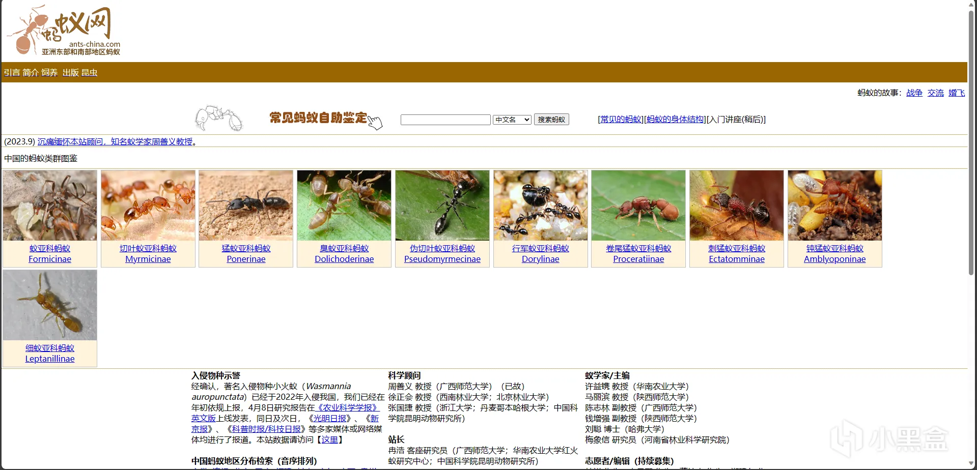 上班摸鱼爽，一直摸一直爽，分享50个摸鱼有趣网站（一）