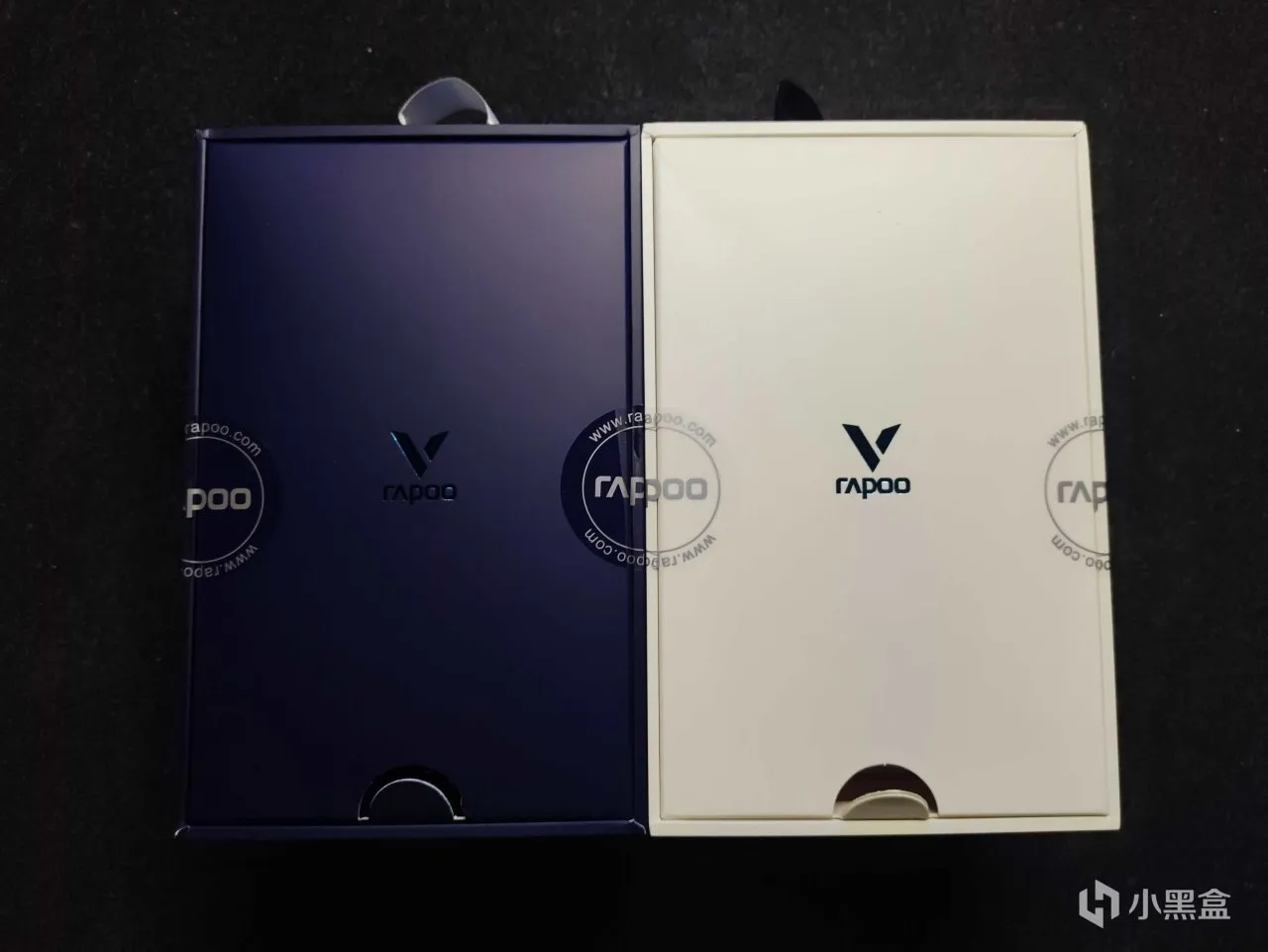 雷柏VT9PRO&PROmini：这一次选择大小手通吃！
