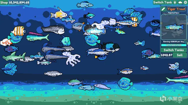 真·上班摸鱼《Chillquarium》