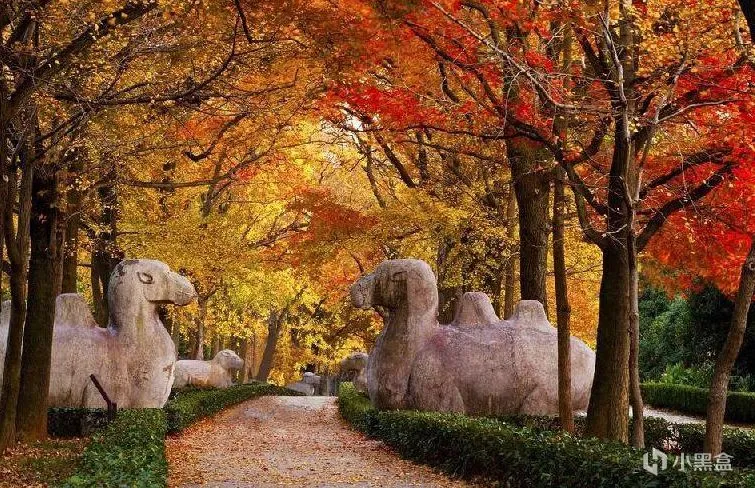 过年去哪里玩？南京旅游攻略：一个年味满满的城市！