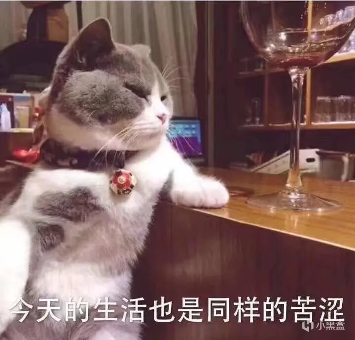 《足球经理2024》让我再次找到了足球真正的乐趣