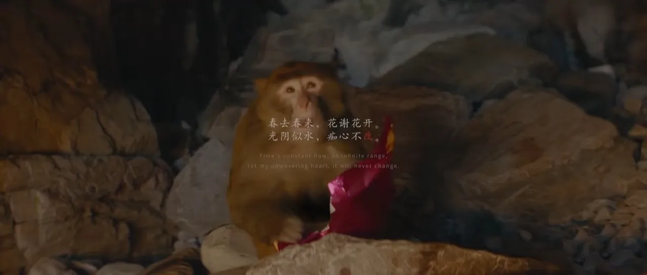 《黑神话：悟空》贺岁隐喻——不忘初心，方得始终！
