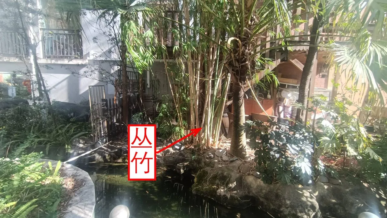 记忆宫殿实践~高中单词300+