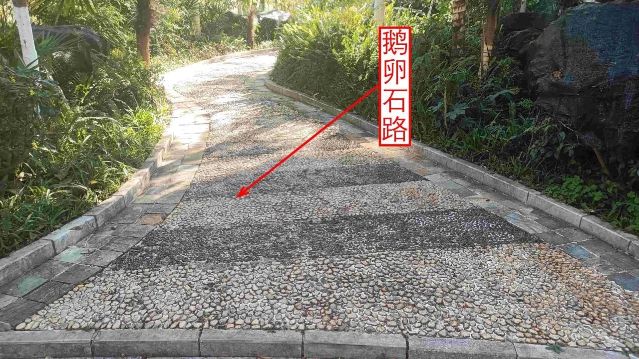 记忆宫殿实践~高中单词300+