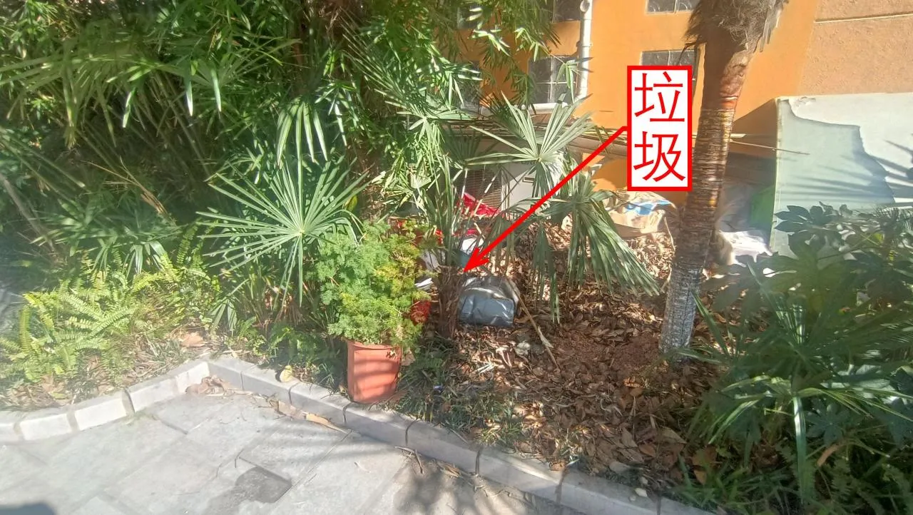 记忆宫殿实践~高中单词300+