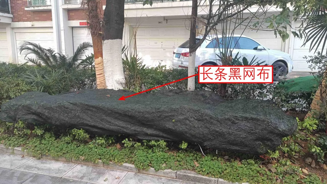 记忆宫殿实践~高中单词300+