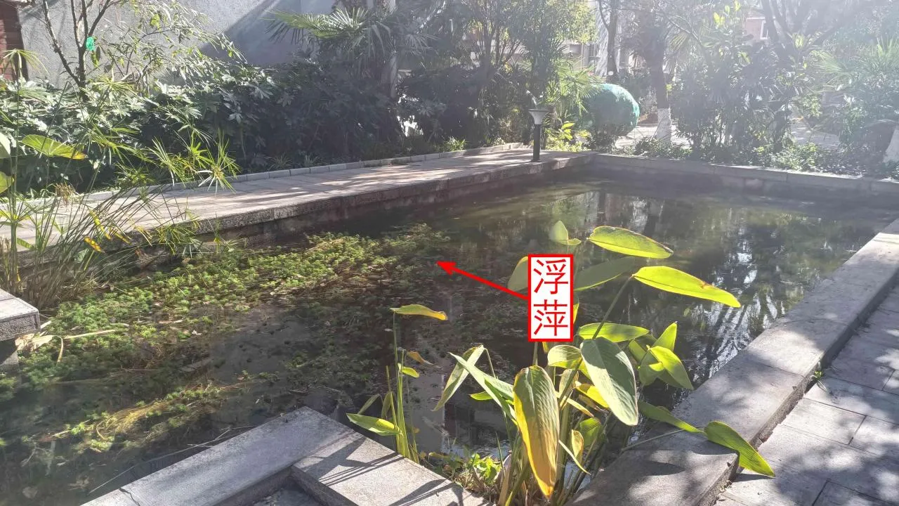 记忆宫殿实践~高中单词300+