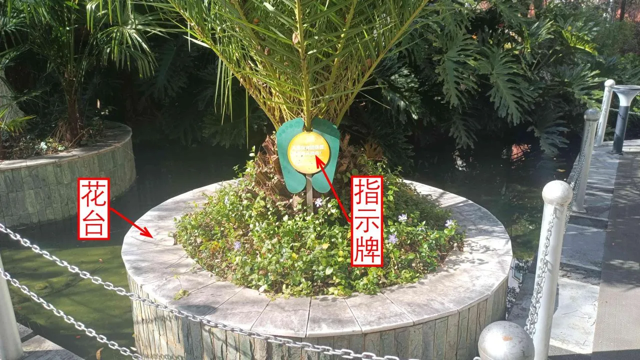 记忆宫殿实践~高中单词300+