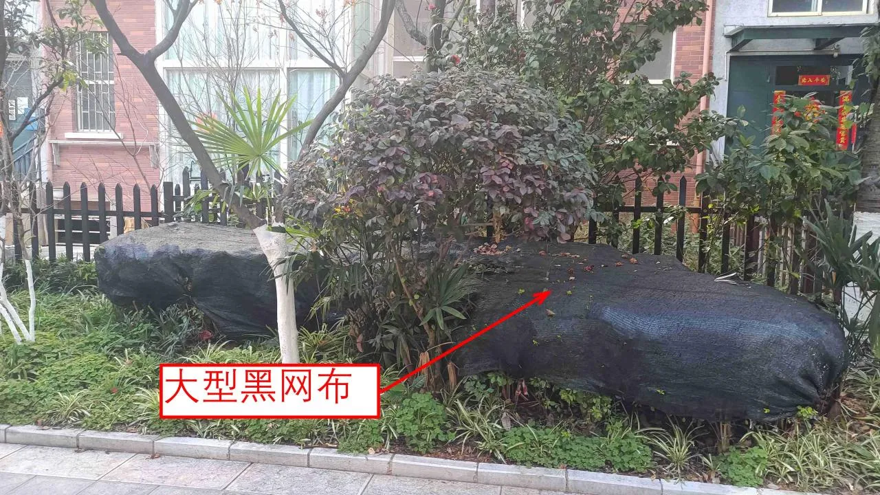 记忆宫殿实践~高中单词300+
