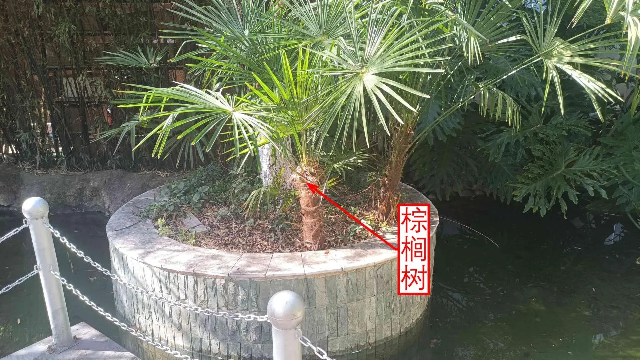 记忆宫殿实践~高中单词300+