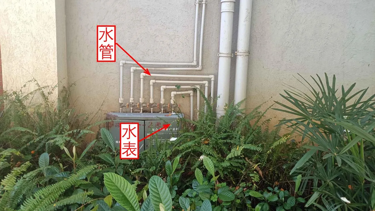记忆宫殿实践~高中单词300+
