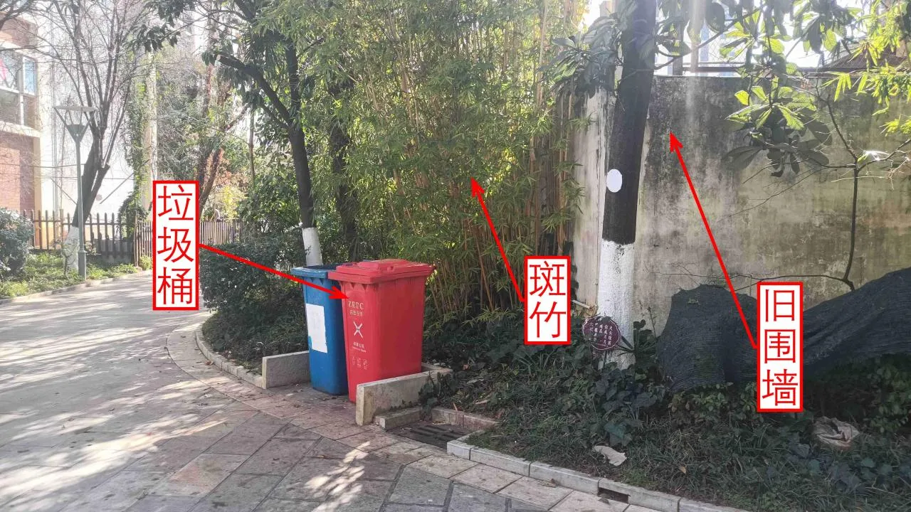 记忆宫殿实践~高中单词300+