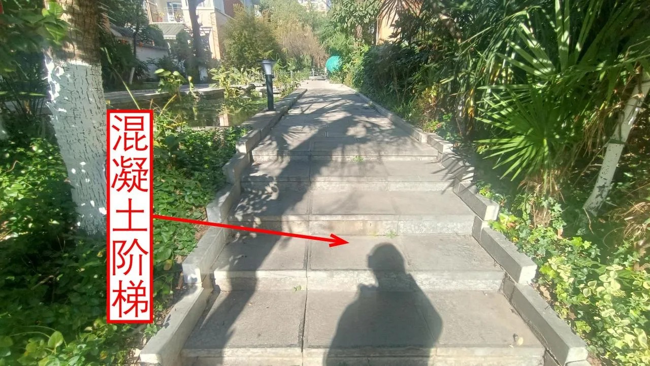 记忆宫殿实践~高中单词300+