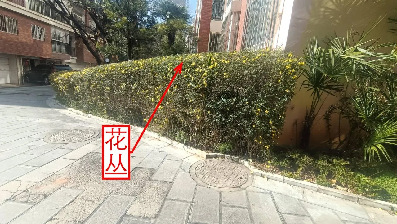 记忆宫殿实践~高中单词300+