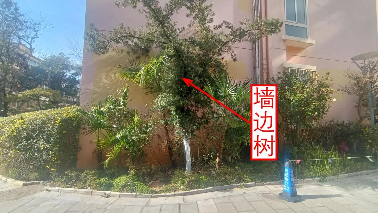 记忆宫殿实践~高中单词300+