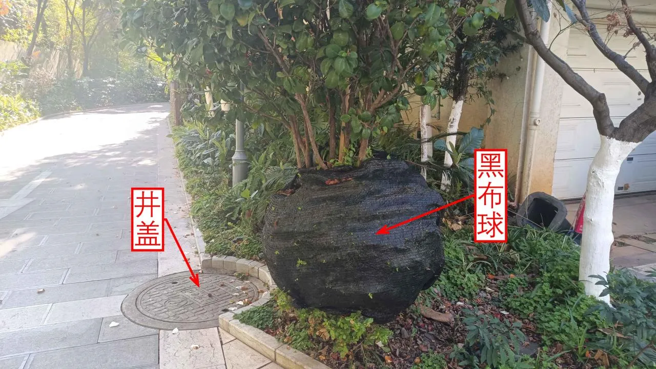 记忆宫殿实践~高中单词300+