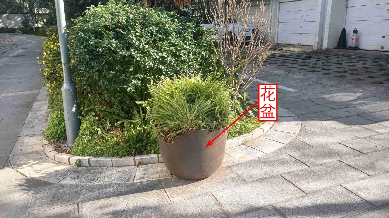记忆宫殿实践~高中单词300+