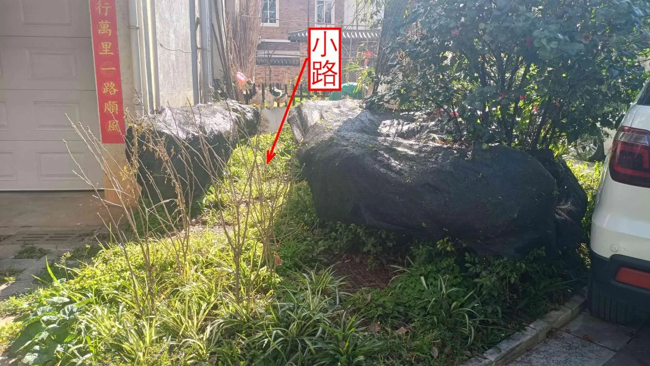 记忆宫殿实践~高中单词300+