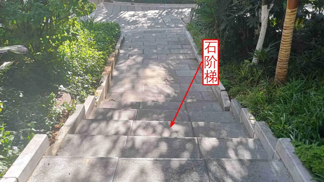 记忆宫殿实践~高中单词300+