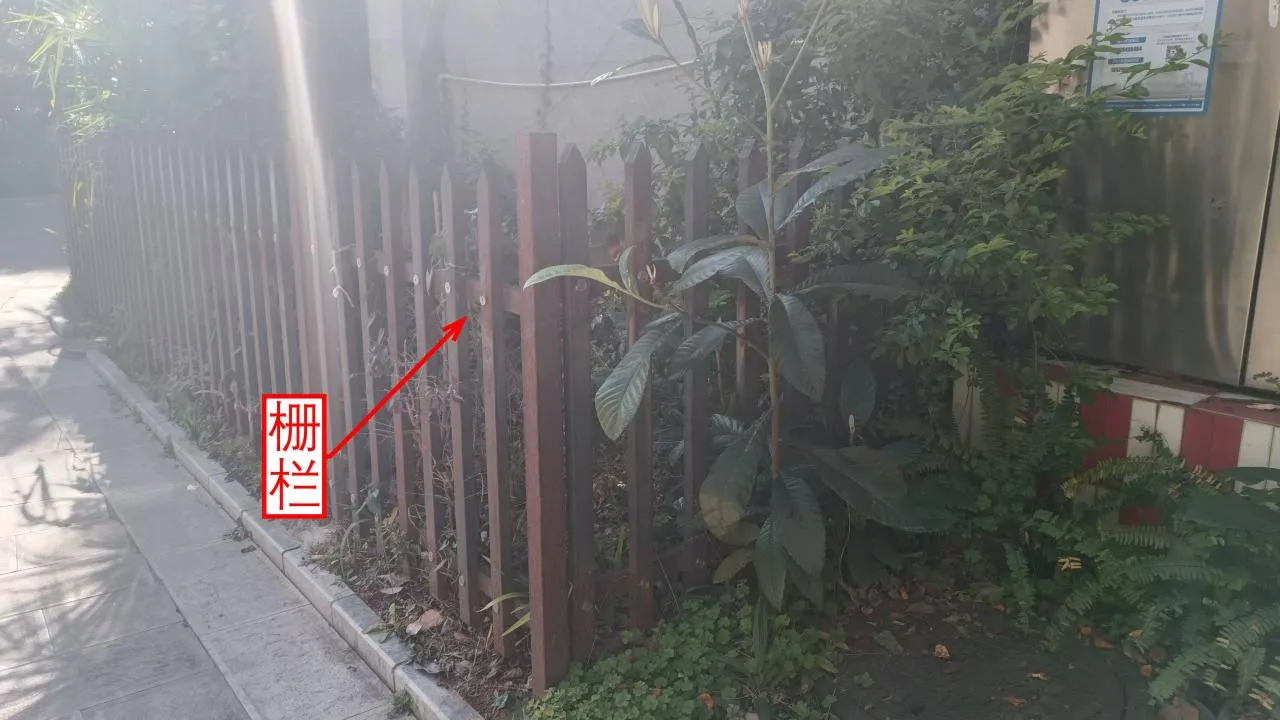 记忆宫殿实践~高中单词300+
