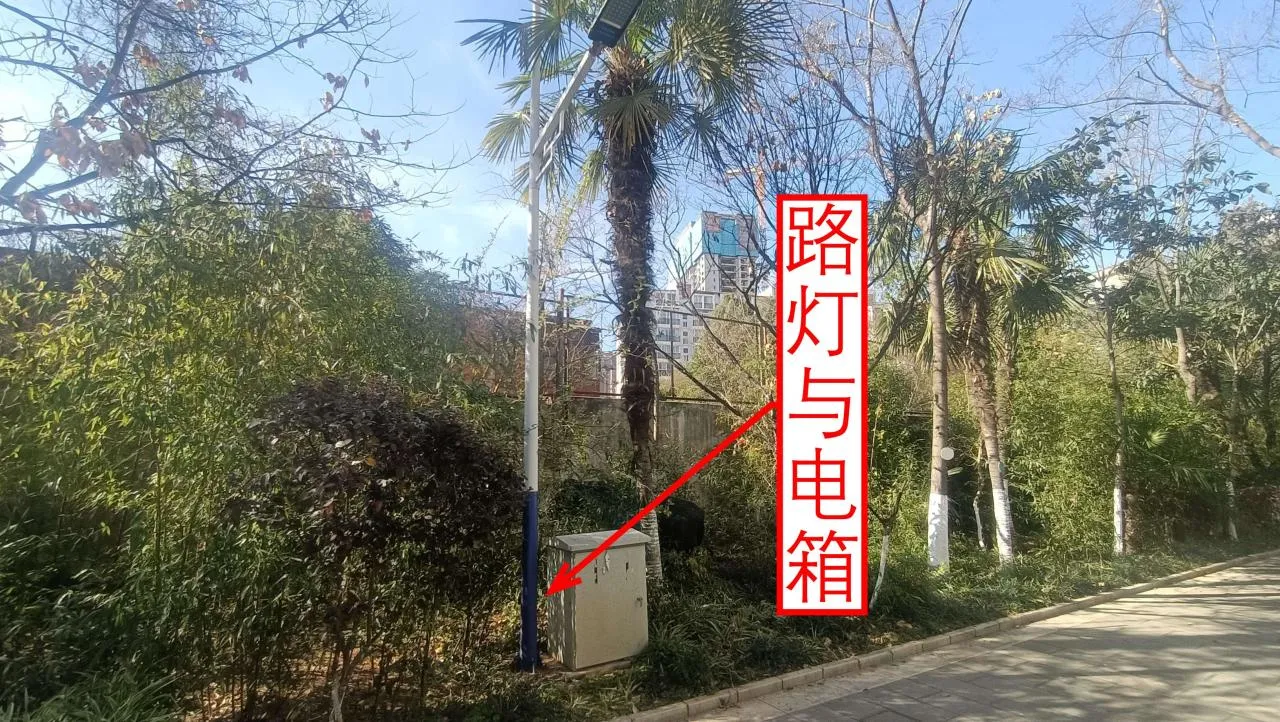 记忆宫殿实践~高中单词300+