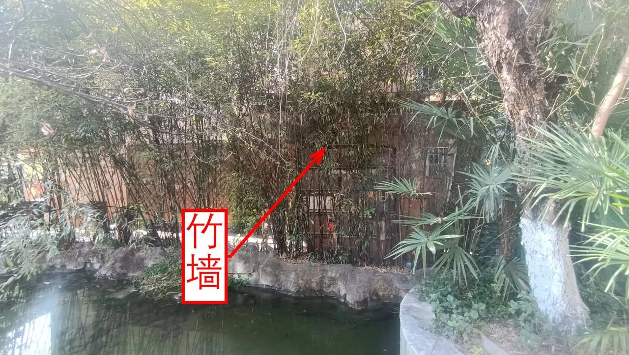 记忆宫殿实践~高中单词300+