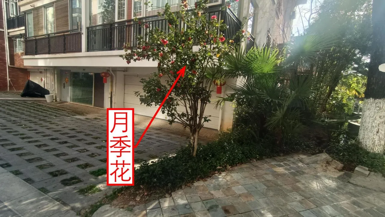 记忆宫殿实践~高中单词300+
