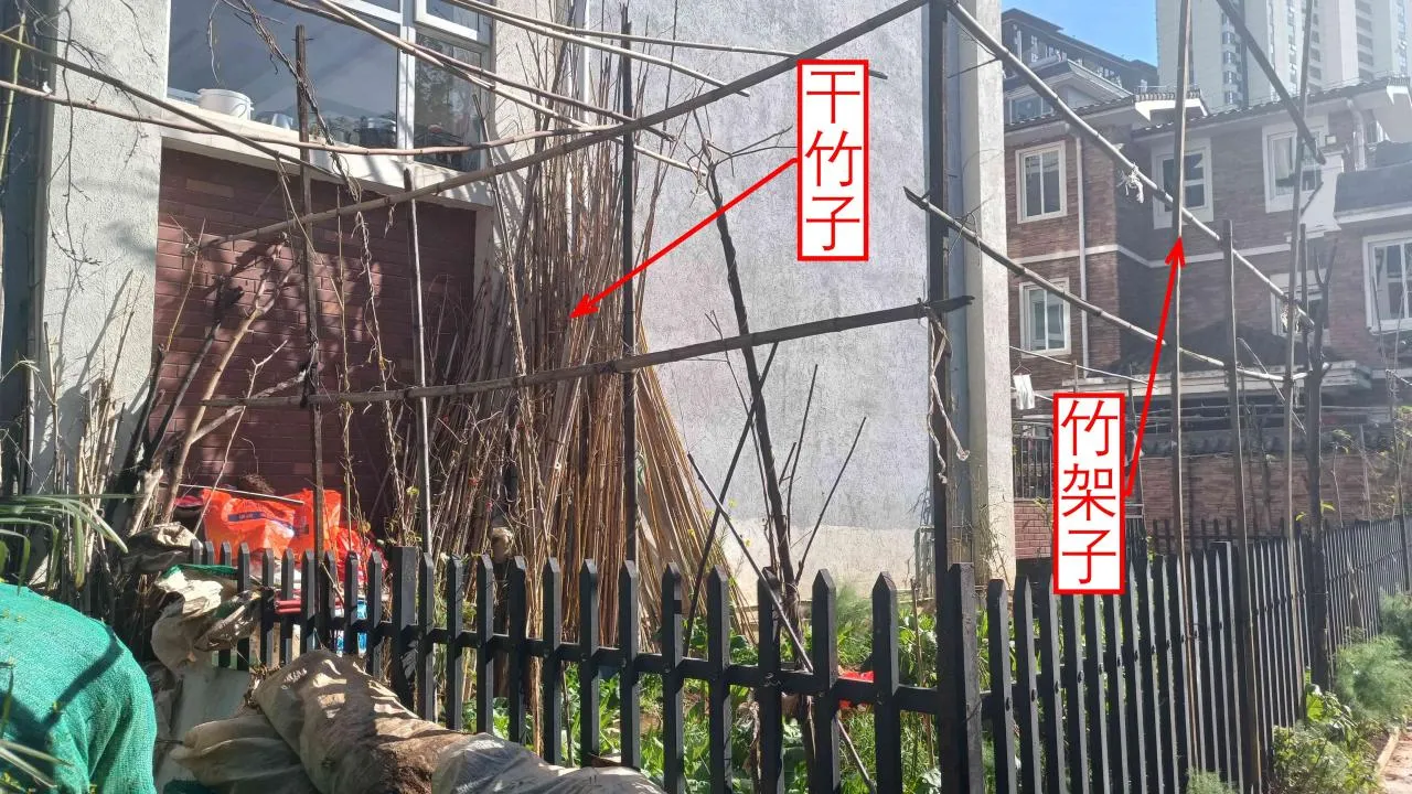 记忆宫殿实践~高中单词300+