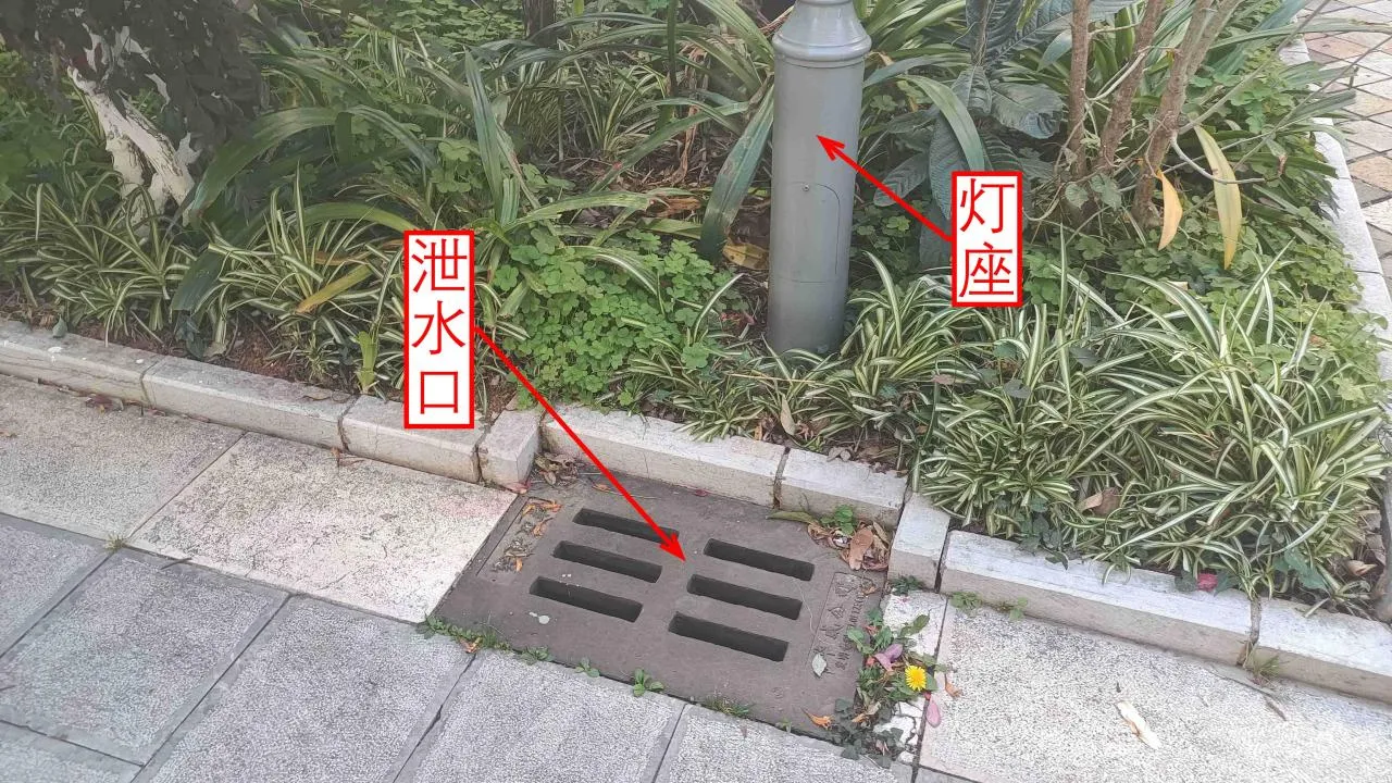 记忆宫殿实践~高中单词300+